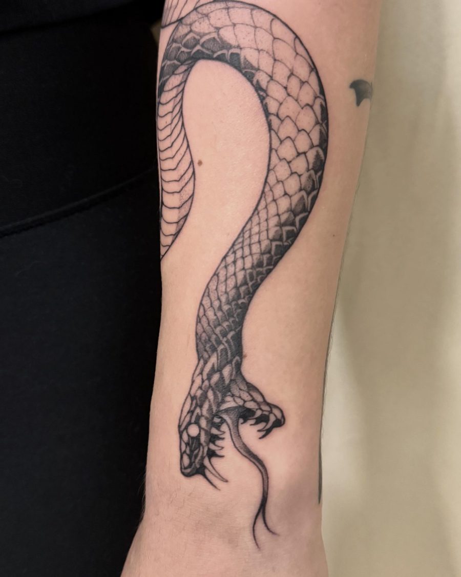 Serpent gueule ouverte — Milos Premier, blackwork, OKO Tattoo Genève